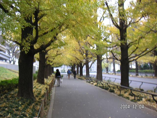 PICT0011